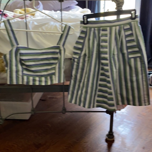 Birds of North America Dresses & Skirts - High Waisted Skirt and matching Crop Top